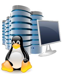 linux_cPanel_hosting